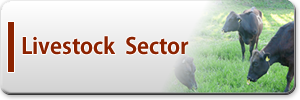 livestock sector